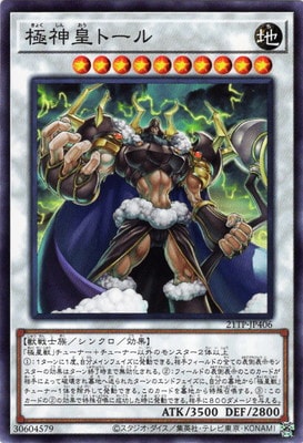 ȡʥȥѥå/21TP-JP406 ˿ĥȡ