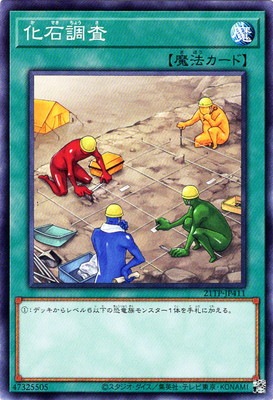�ȡ��ʥ��ȥѥå�/21TP-JP411 ����Ĵ��