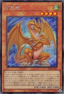 22PP-JP022 ɴǯεڥåȥ쥢