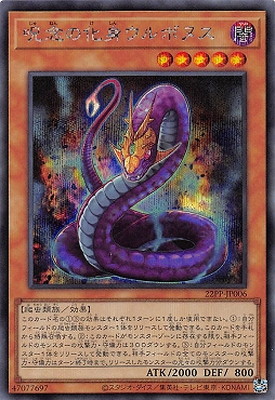 22PP-JP006 ǰβȥܥ̥ڥåȥ쥢