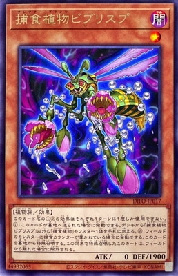��11��/08��/DIFO-JP017 �Ῡ��ʪ�ӥ֥ꥹ�� R
