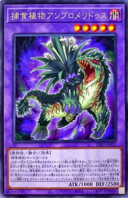 ��11��/08��/DIFO-JP037 �Ῡ��ʪ����֥����ɥ��� R