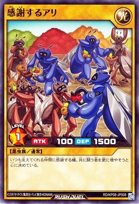 RD/KP08-JP008 ���դ��륢�� 