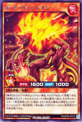 RD/KP08-JP019 �ۥåȡ�������쥪�� R