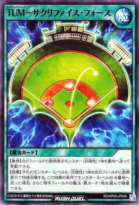 RD/KP08-JP049 �ԣգ͡ݥ�����ե��������ե����� 