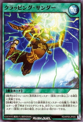 RD/KP08-JP055 ����åԥ󥰡�������� 