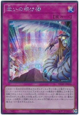 ��11��/HC01-JP014 �ߤ��βͤ����ڥ�������åȥ쥢��