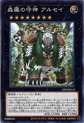 ȡʥȥѥå/22TP-JP113 μ 륻