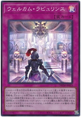 ��11��/DBTM-JP023 �����륫�ࡦ��ӥ��󥹡ڥ����ѡ��쥢��