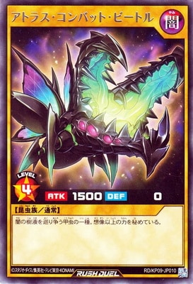 RD/KP09-JP010 ���ȥ饹������Хåȡ��ӡ��ȥ� R