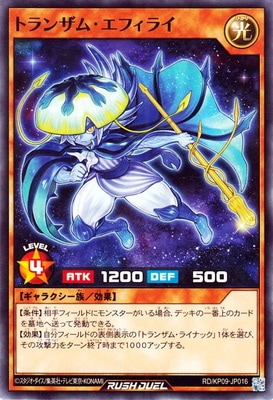 RD/KP09-JP016 �ȥ�󥶥ࡦ���ե��饤