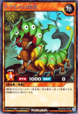 RD/KP09-JP028 �ɥ�⥹������ R