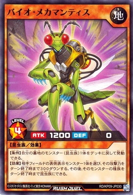 RD/KP09-JP030 �Х������ᥫ�ޥ�ƥ���