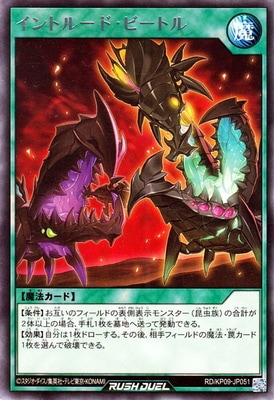 RD/KP09-JP051 ����ȥ롼�ɡ��ӡ��ȥ� R