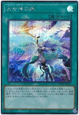 11/09/POTE-JP067 ﷡ڥåȥ쥢