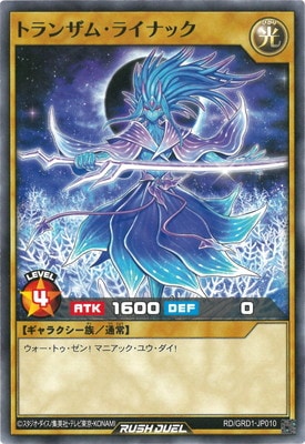 RD/GRD1-JP010 ȥ󥶥ࡦ饤ʥå