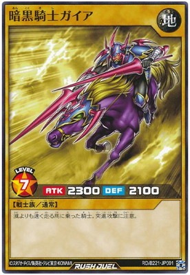 RD/B221-JP001 �Ź����Υ����� �ڥΡ��ޥ���͡�