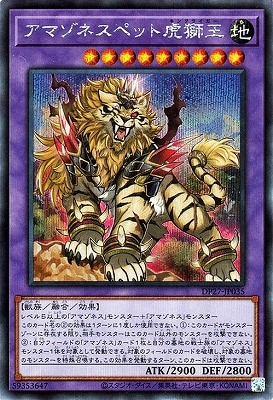 デュエリストパック－輝石のデュエリスト編－(DP27)