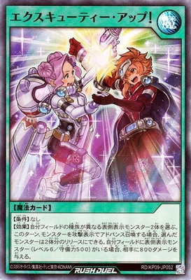 ڥʰ¡RD/KP09-JP052 塼ƥåסڥѡ쥢