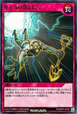 RD/MRP1-JP047 ����������Ȥ���