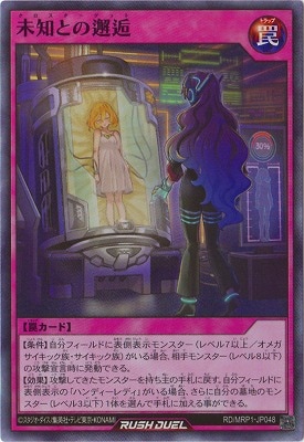 RD/MRP1-JP048 ̤�ΤȤ����ڥ����ѡ��쥢��