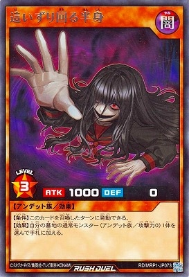 RD/MRP1-JP073 �礤������Ⱦ�� R