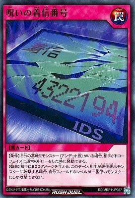 RD/MRP1-JP087 �������忮�ֹ�