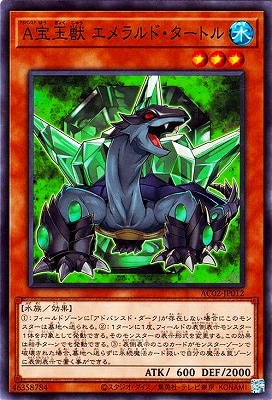 ��11��/AC02-JP012 �����̽� ������ɡ������ȥ�