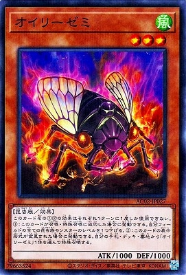 ��11��/AC02-JP027 �����꡼���ߡڥΡ��ޥ�ѥ����