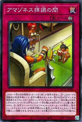 第11期/AC02-JP038 アマゾネス拝謁の間【ノーマルパラレル