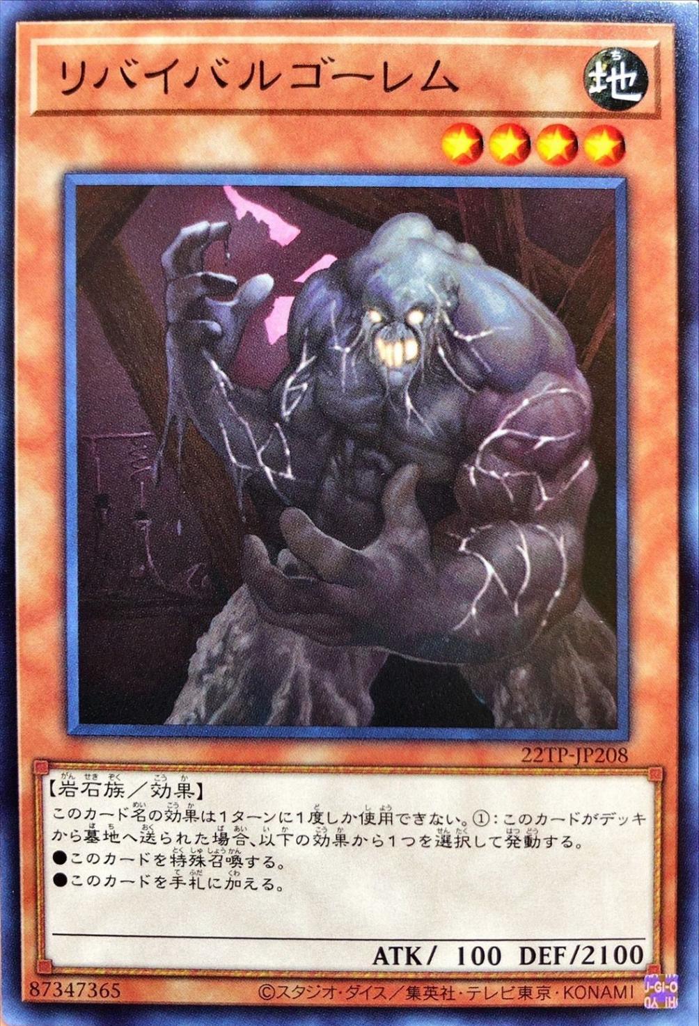 ȡʥȥѥå/22TP-JP208 ХХ르