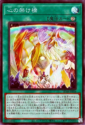 ��11��/SD44-JPP04 ���βͤ����ڥ����ѡ��쥢��