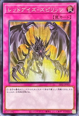 ����Ʊ��������/22YJ-JPY01 ��åɥ����������ԥ�åġڥ�������åȥ쥢��