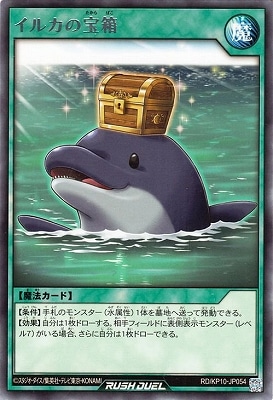 RD/KP10-JP054 ���륫����Ȣ R