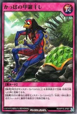 RD/KP10-JP061 ���äѤι��崳��