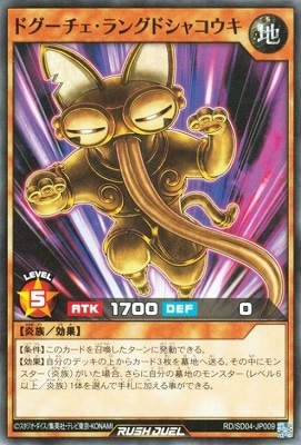 RD/SD04-JP009 �ɥ�����������󥰥ɥ��㥳����