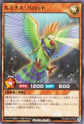 RD/SD05-JP008 ��ߥʥ����ѥ��å�