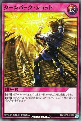 RD/SD05-JP030 ������Хå�������å�