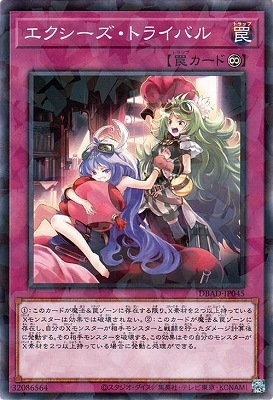 ��11��/DBAD-JP045 �������������ȥ饤�Х�ڥѥ����