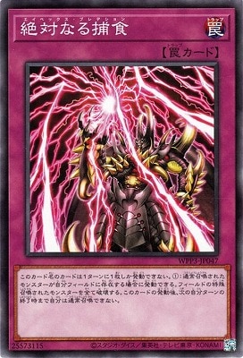 ��11��/WPP3-JP047 ���Фʤ��Ῡ