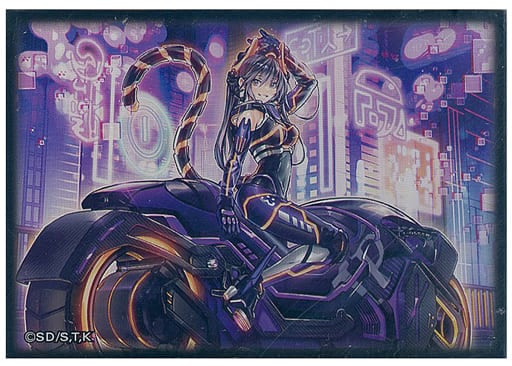 �ǥ奨�ꥹ�ȥ����ɥץ��ƥ����� I��P�ޥ����졼�ʡ�10������ۡ�̤������