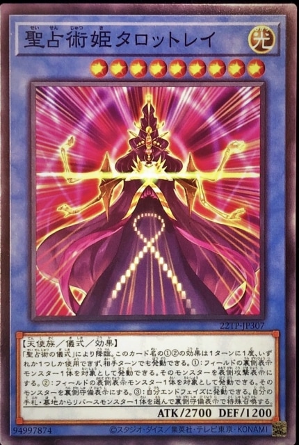 ȡʥȥѥå/22TP-JP307 ɱåȥ쥤