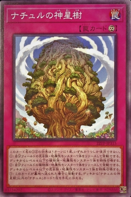 ȡʥȥѥå/22TP-JP315 ʥο