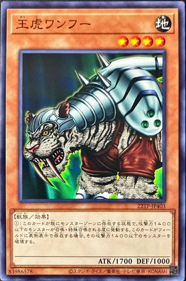 ȡʥȥѥå/22TP-JP403 ץա