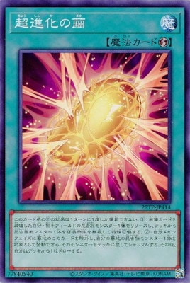 ȡʥȥѥå/22TP-JP414 Ķʲ