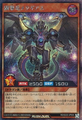 RD/S222-JP004 �ݷ�ε�᥿�������ڥ�������åȥ쥢��