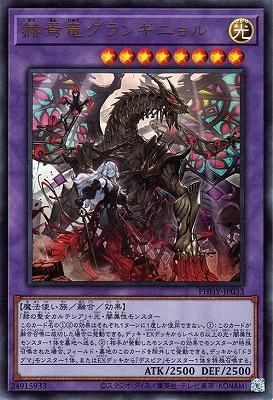 11/11/PHHY-JP033 ε󥮥˥ڥȥ쥢