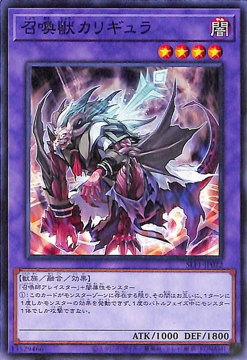 ��11��/SLF1-JP022 �����å��ꥮ���