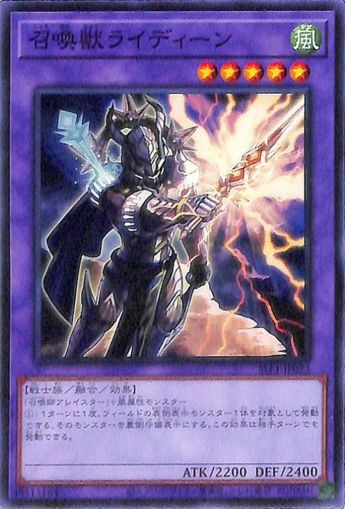 ��11��/SLF1-JP023 �����å饤�ǥ�����