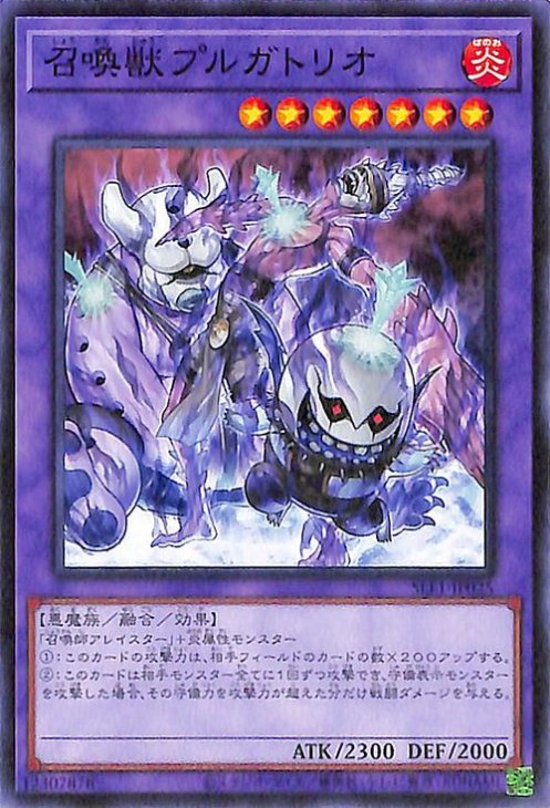 ��11��/SLF1-JP025 �����åץ륬�ȥꥪ